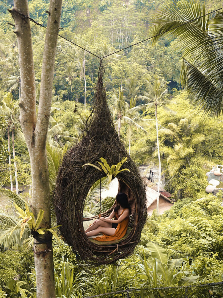 Bali Swing River Ubud