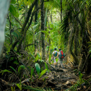 Die Top 7 Nationalparks in Costa Rica: Vulkane, Regenwälder & Faultiere