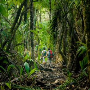 Costa Rica Corcovado Nationalpark wandern