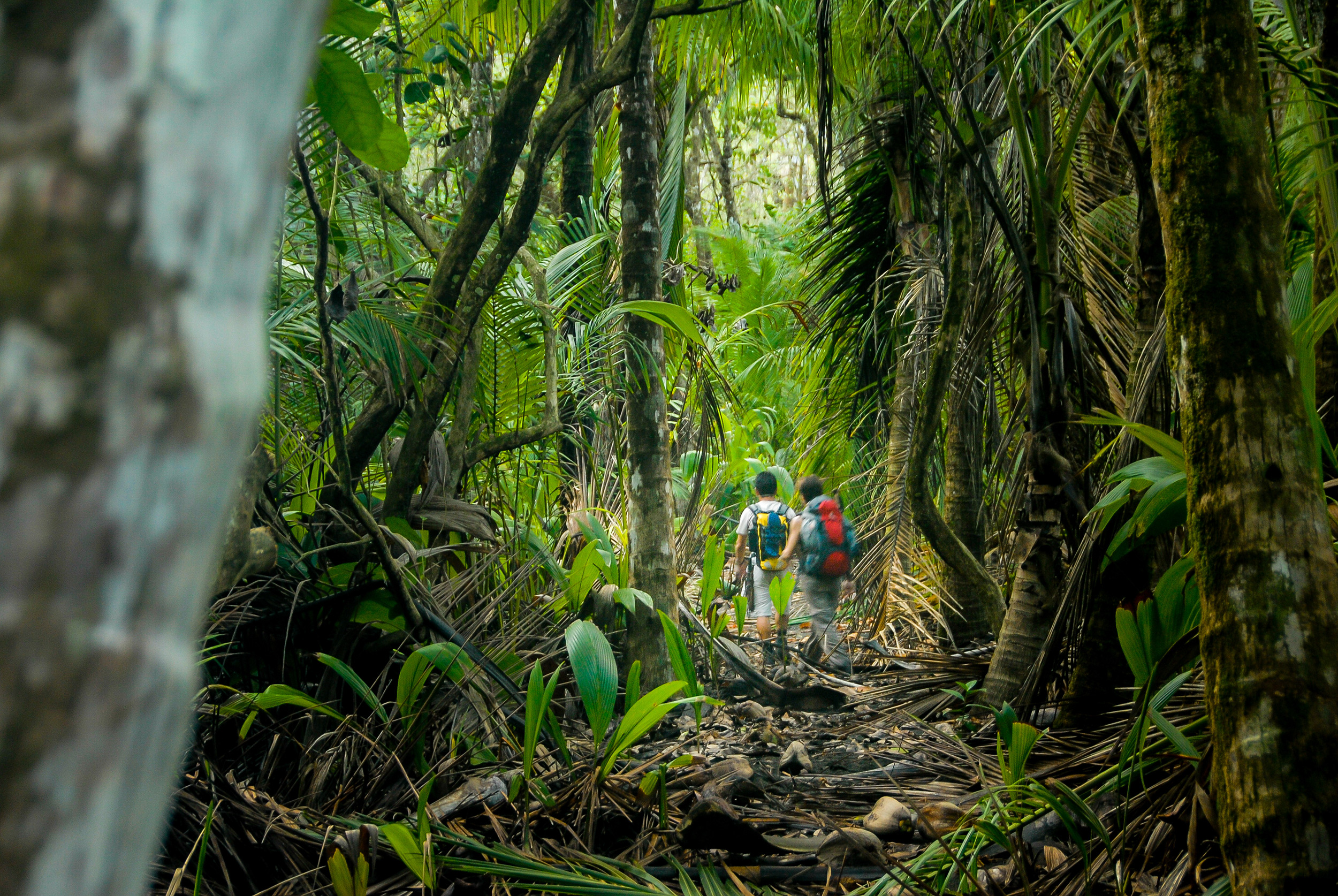 Die TOP 7 Costa Rica Nationalparks
