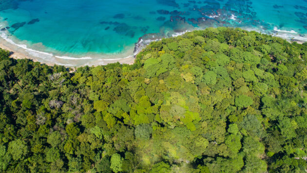 Costa Rica Playa Chiquita