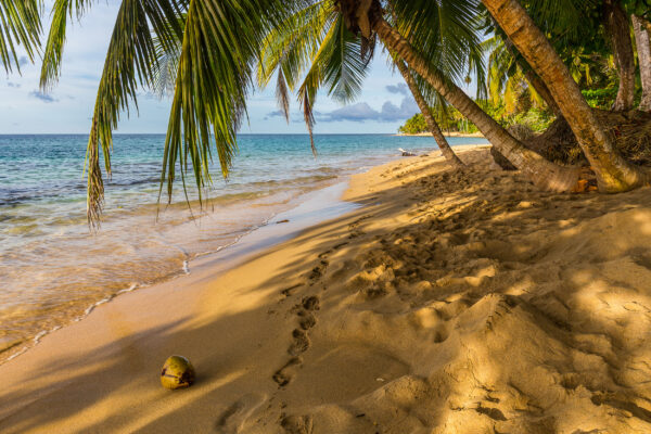 Costa Rica Playa Punta Uva