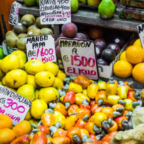 Costa Rica San Jose Farmers Market