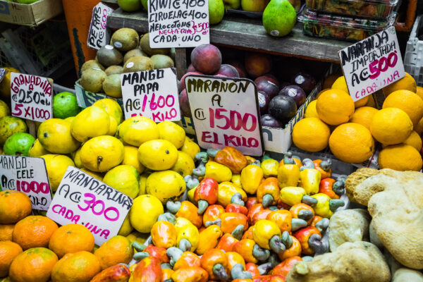 Costa Rica San Jose Farmers Market