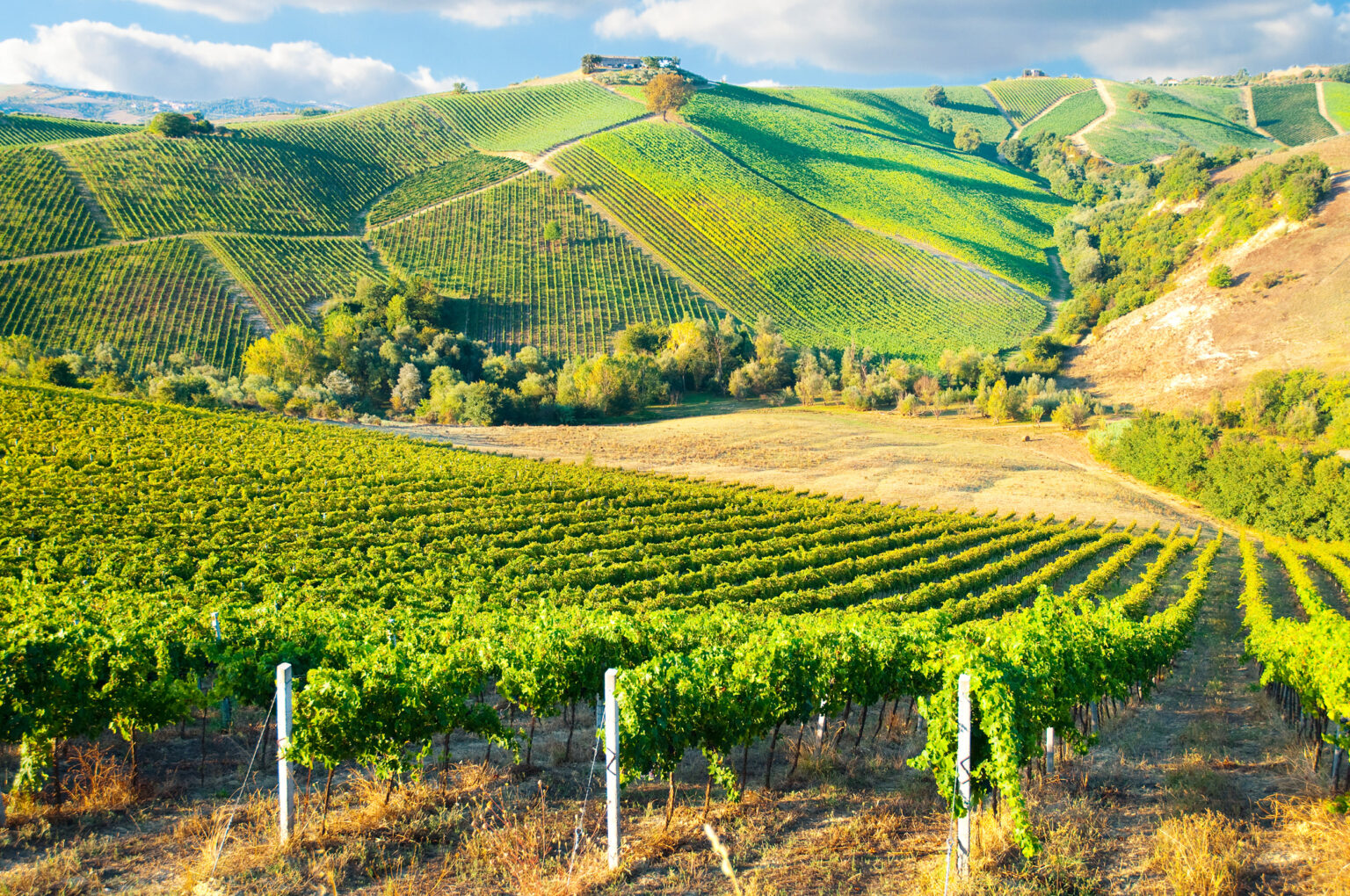 Die besten Weinanbaugebiete & Weinregionen in Frankreich