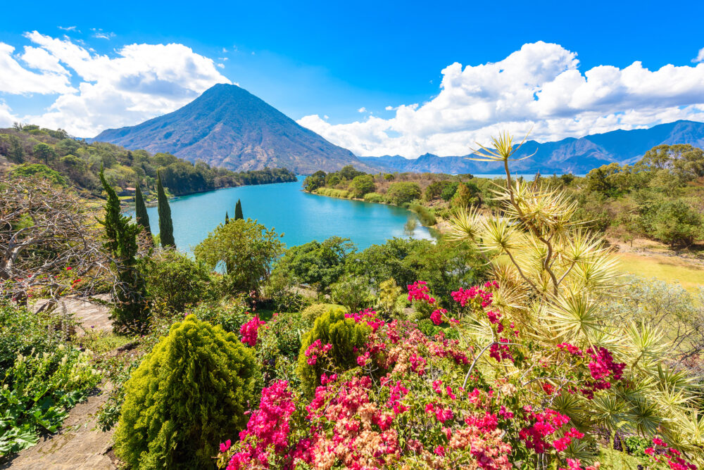 Guatemala Lake Atitlan Blumen