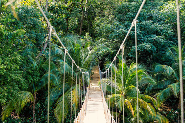Honduras Dschungel Brücke