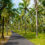 Bali-Rundreise: 11 Tage durch Indonesien inklusive tollen Hotels mit Suiten, Frühstück, Flügen, Transfers & vielen Extras nur 1269€