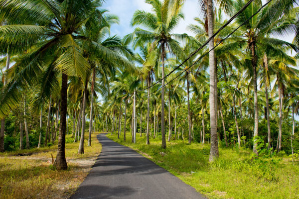 Indonesien Bali Nusa Penida Straße