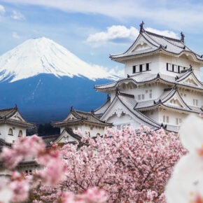 Von skurril bis idyllisch: Die ultimativen Japan Tipps für Eure Reise