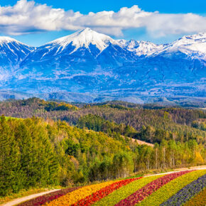 Hokkaido Reisetipps: Entdeckt die japanische Nordinsel