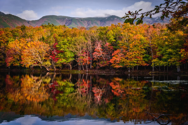 Japan Yhokaido Shiretoko