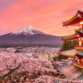 Kirschblüte in Japan: Die schönsten Orte & Feste