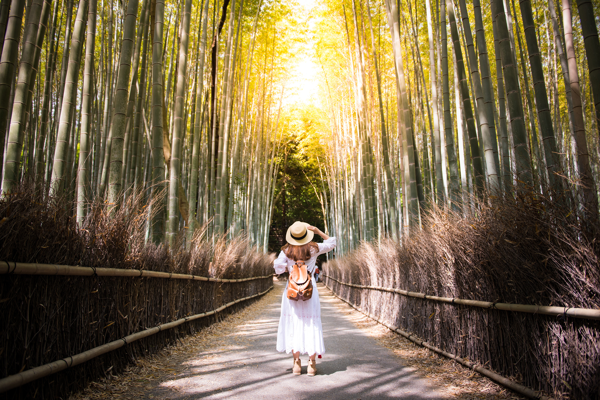 Tipps für Backpacking in Japan: So reist Ihr kostengünstig - Japan Kyoto WalD Frau