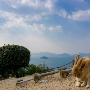 Japan Okunoshima Hase Landschaft