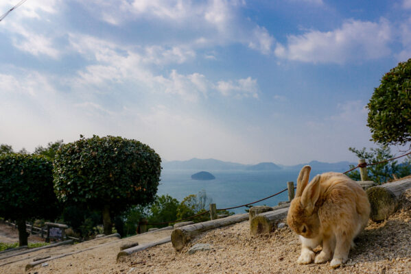 Japan Okunoshima Hase Landschaft