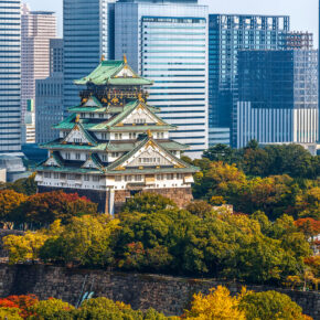 Japan Osaka Castle Skyline