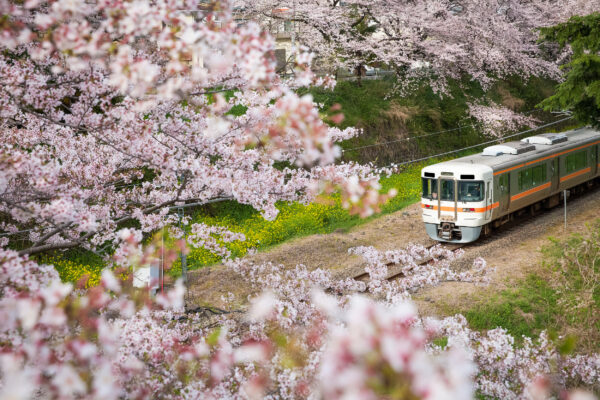Japan Yamakita