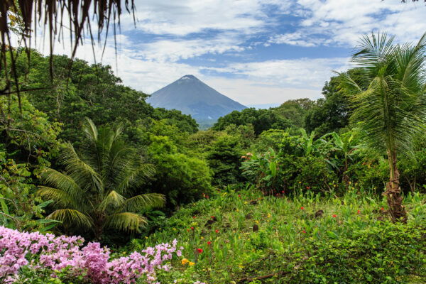 Nicaragua Ometepe Natur
