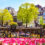 Sommer-Kurztrip nach Amsterdam: 2 Tage übers Wochenende mit zentralem 4* Hotel nur 85€