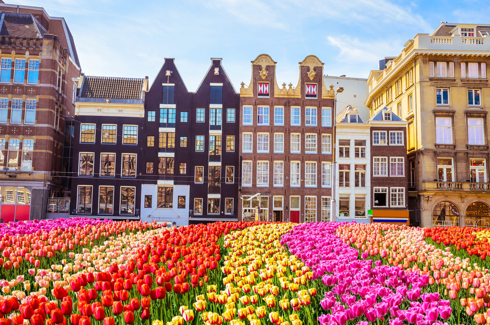 Faszinierend Ist Holland Eine Stadt Ebenbildnull