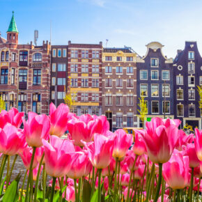 Kurztrip nach Amsterdam: 2 Tage im TOP 4* Hotel mit Frühstück ab 50€