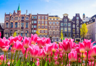 Kurztrip mal anders: 3 Tage Amsterdam im umweltfreundlichen & stylischen 4* Eco-Hotel ab...