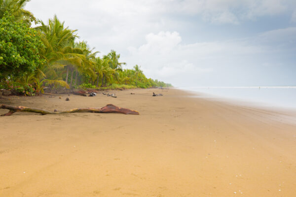 Panama Las Lajas Strand