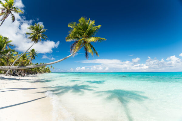 Polynesien Fakarava Strand