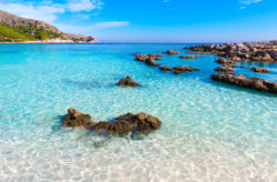 Mallorca im Hochsommer: 8 Tage im TOP 3.5* Hotel mit Frühstück, Flug, Transfer & Zug nur...