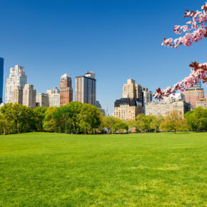 USA New York Central Park Frühling