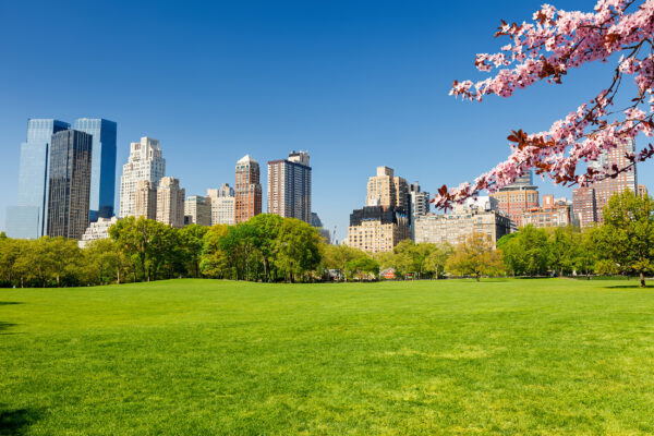 USA New York Central Park Frühling