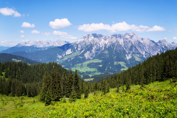 Österreich Leogang Panorama