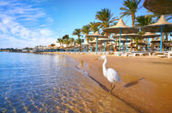 All Inclusive Strandurlaub: 7 Tage Ägypten ins 3* Hotel mit Flug und All Inclusive NUR 449€