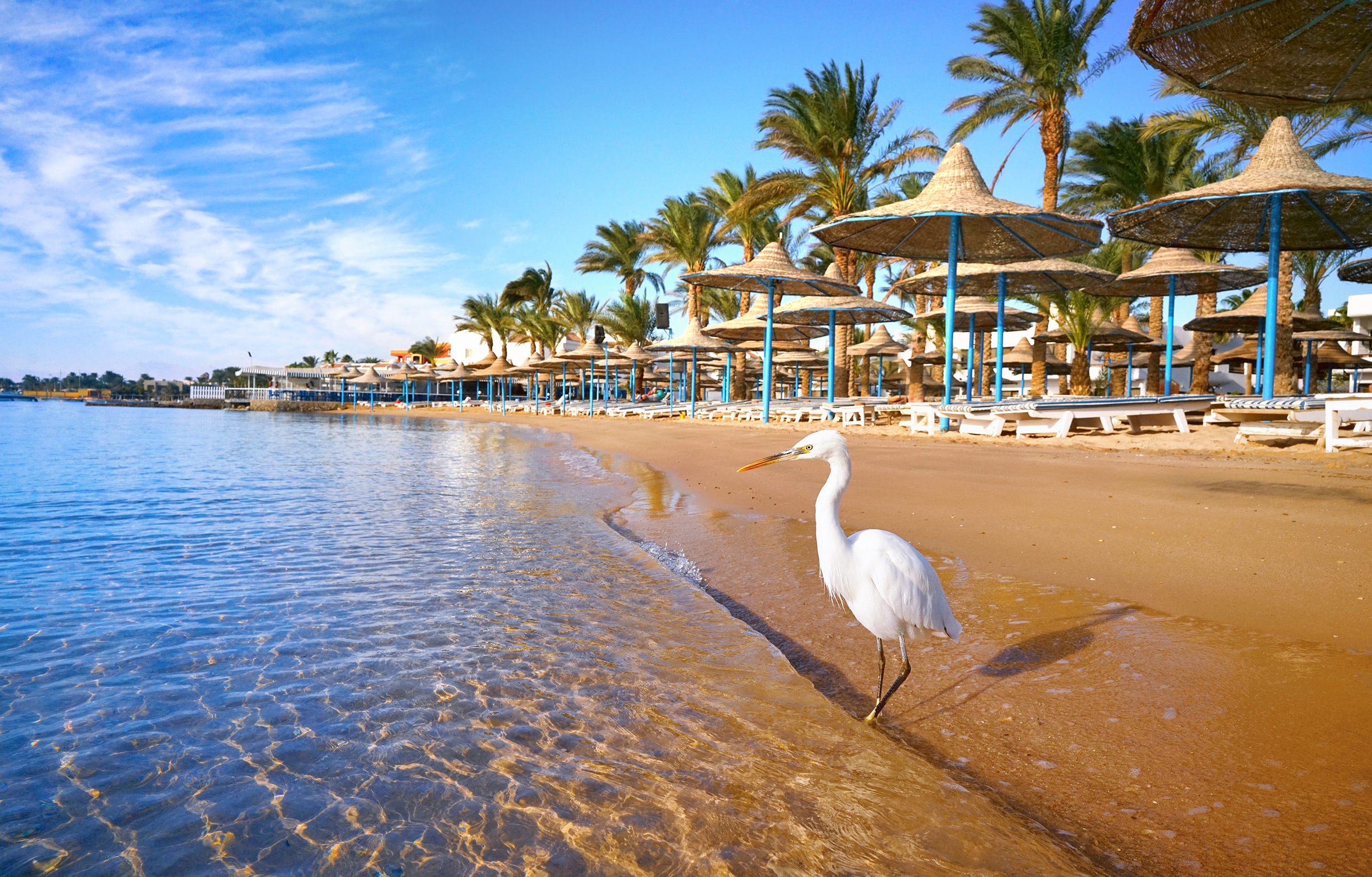 Urlaub in Hurghada 7 Tage im 5* Strandhotel mit All Inclusive, Flug