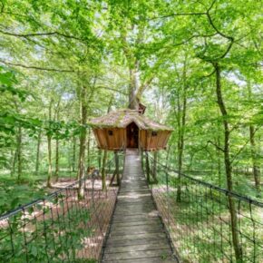 Kurios Übernachten: 2 Tage im Baumhaus in Frankreich mit Frühstück nur 56€ Kurios Übernachten: 2 Tage im Baumhaus in Frankreich mit Frühstück nur 56€