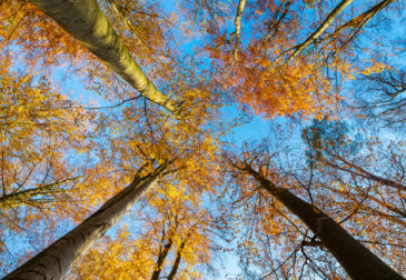 Herbst-Sale bei wearetravel: Eure perfekte Auszeit ab 45,50 € p.P.