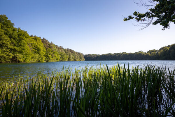 Deutschland Feldberger Seenlandschaft Schmaler Luzias See