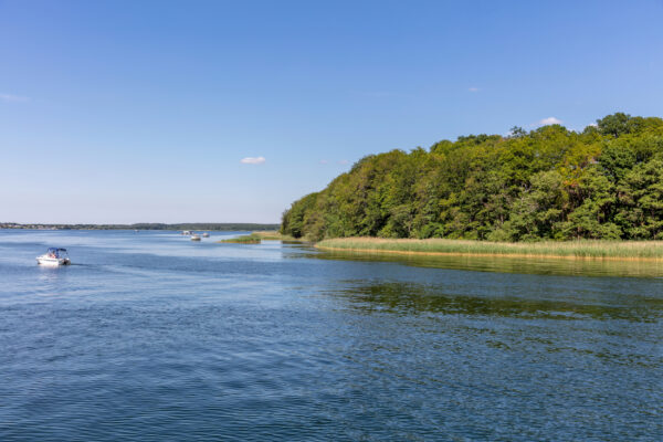 Deutschland Mecklenburgische Seenplatte Plauer See