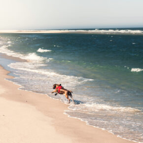 Ab nach Sylt: 2 Tage übers Wochenende im TOP 3* Strandhotel mit Frühstück nur 64€