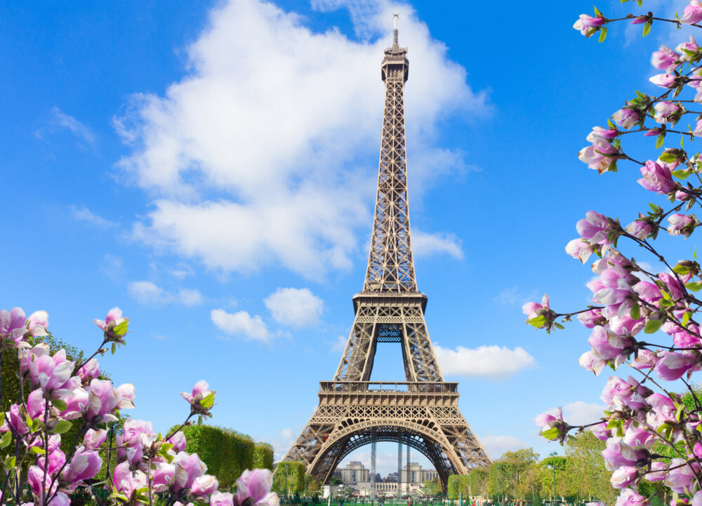 Frankreich Paris Eiffelturm Magnolien
