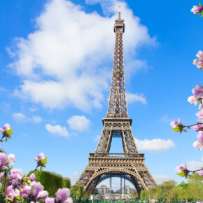Frankreich Paris Eiffelturm Magnolien