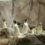 Tierpark Hagenbeck: 2 Tage inklusive Eintritt & Übernachtung im Premium Hotel nach Wahl ab 66€