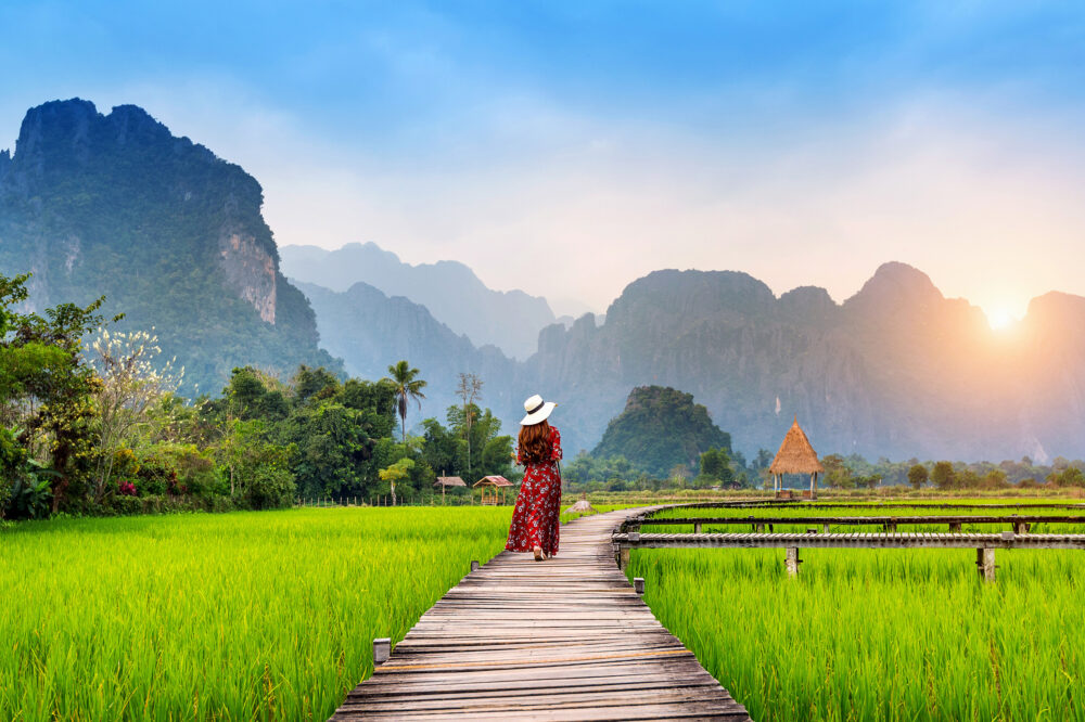 Laos Vang Vieng Reisfeld