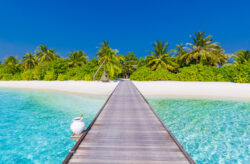 Luxusurlaub vom Feinsten: 10 Tage auf Malediven im TOP 5* Resort inkl. Frühstück, Flug &...