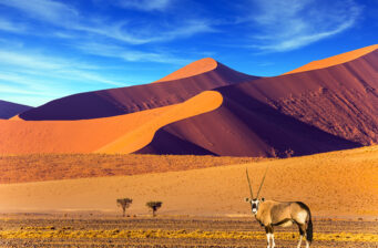 3 Länder in einer Reise entdecken: 13-tägige Afrika Rundreise mit Unterkünften, Frühstück, Fl...