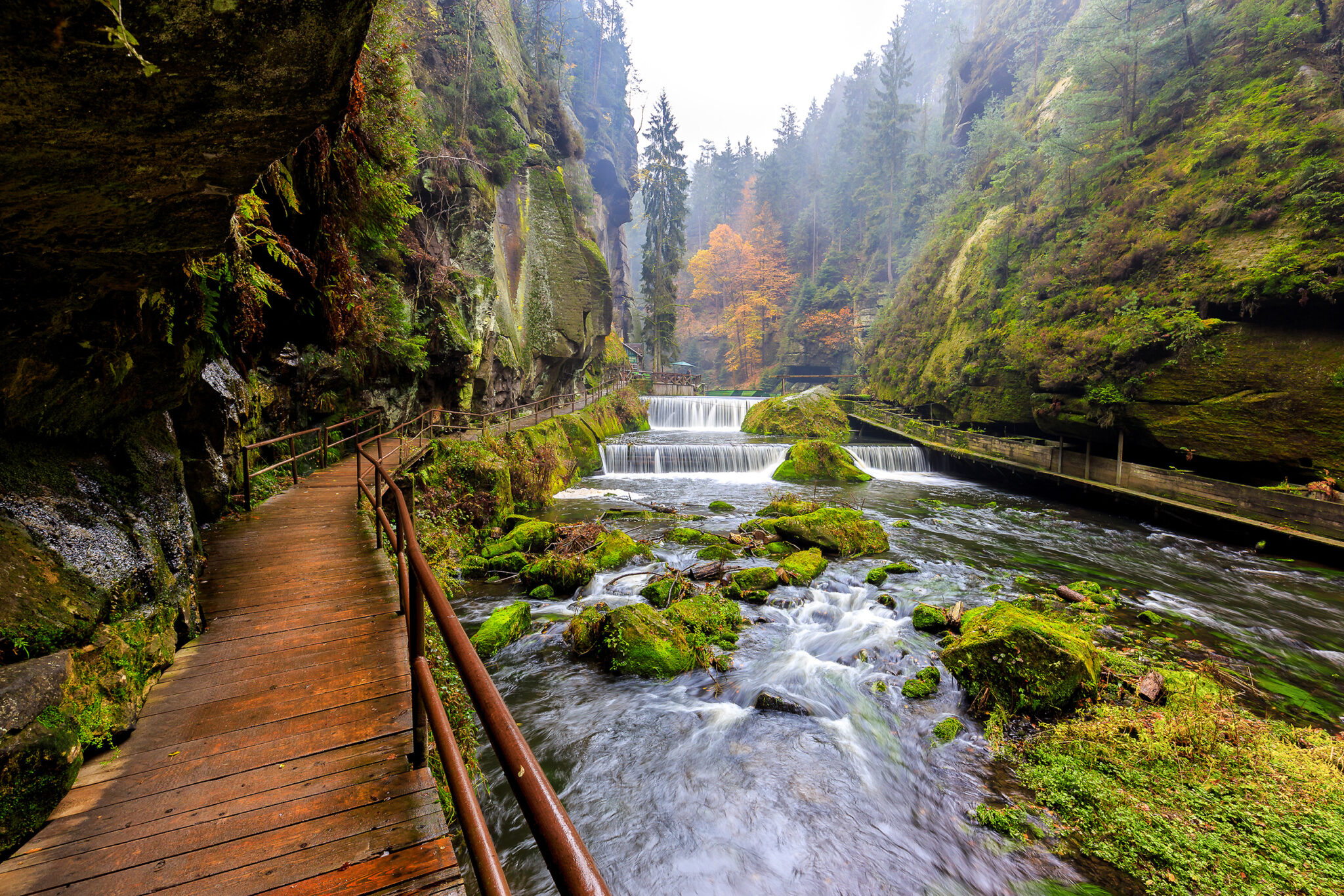 die-top-10-der-sch-nsten-nationalparks-in-deutschland