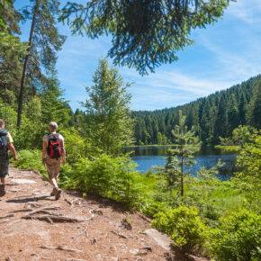 Natur & Idylle am Storkower See: 4 Tage im eigenen Ferienhaus am Seenland ab 48€ Natur & Idylle am Storkower See: 4 Tage im eigenen Ferienhaus am Seenland ab 48€