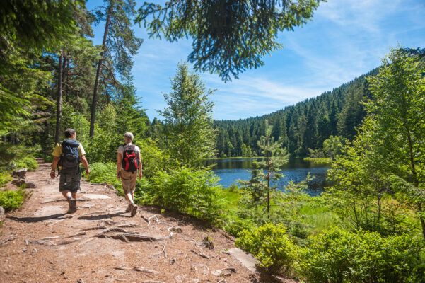 Schwarzwald Wandern See