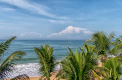Ab nach Sri Lanka: 15 Tage mit Strandhütte am Privatstrand & Flug nur 552€